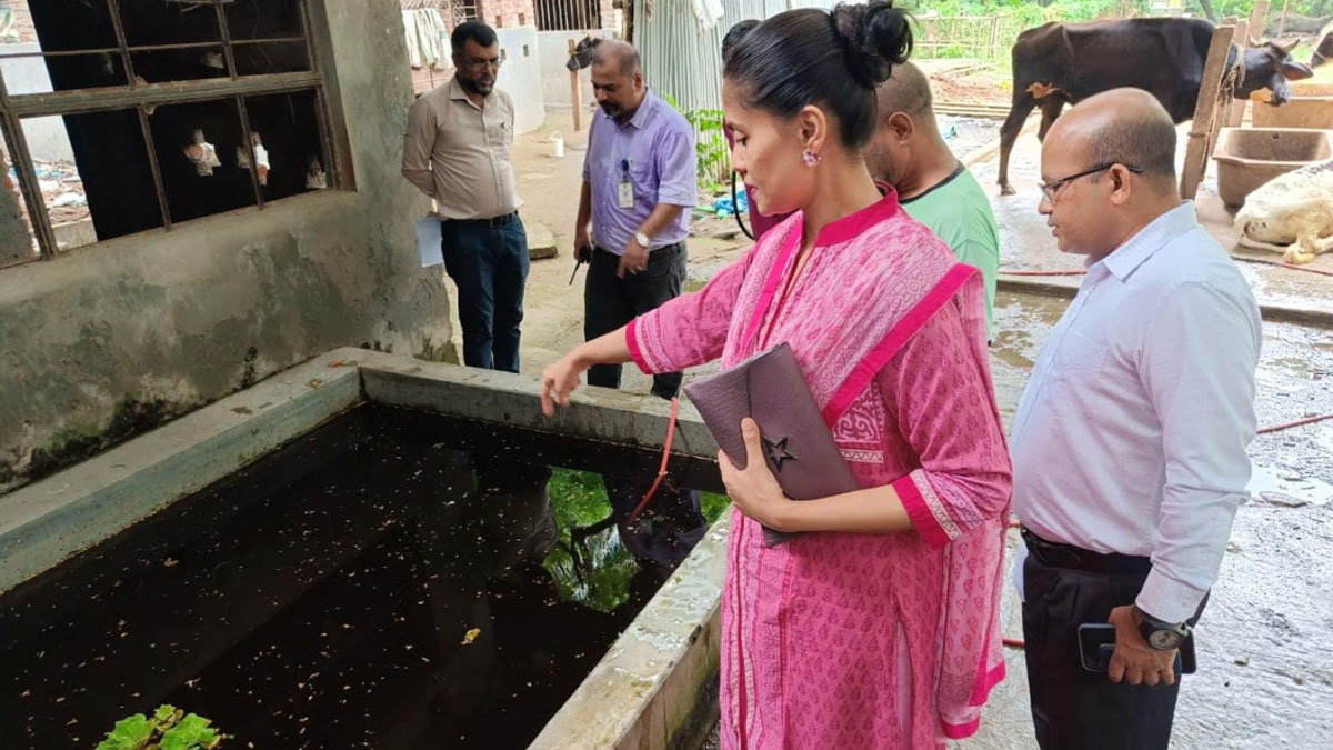 এডিসের লার্ভা
