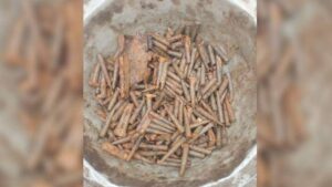 নওগাঁয় মাটির নিচে মিলল রাইফেলের ৩২৫ গুলি, এলাকায় চাঞ্চল্য